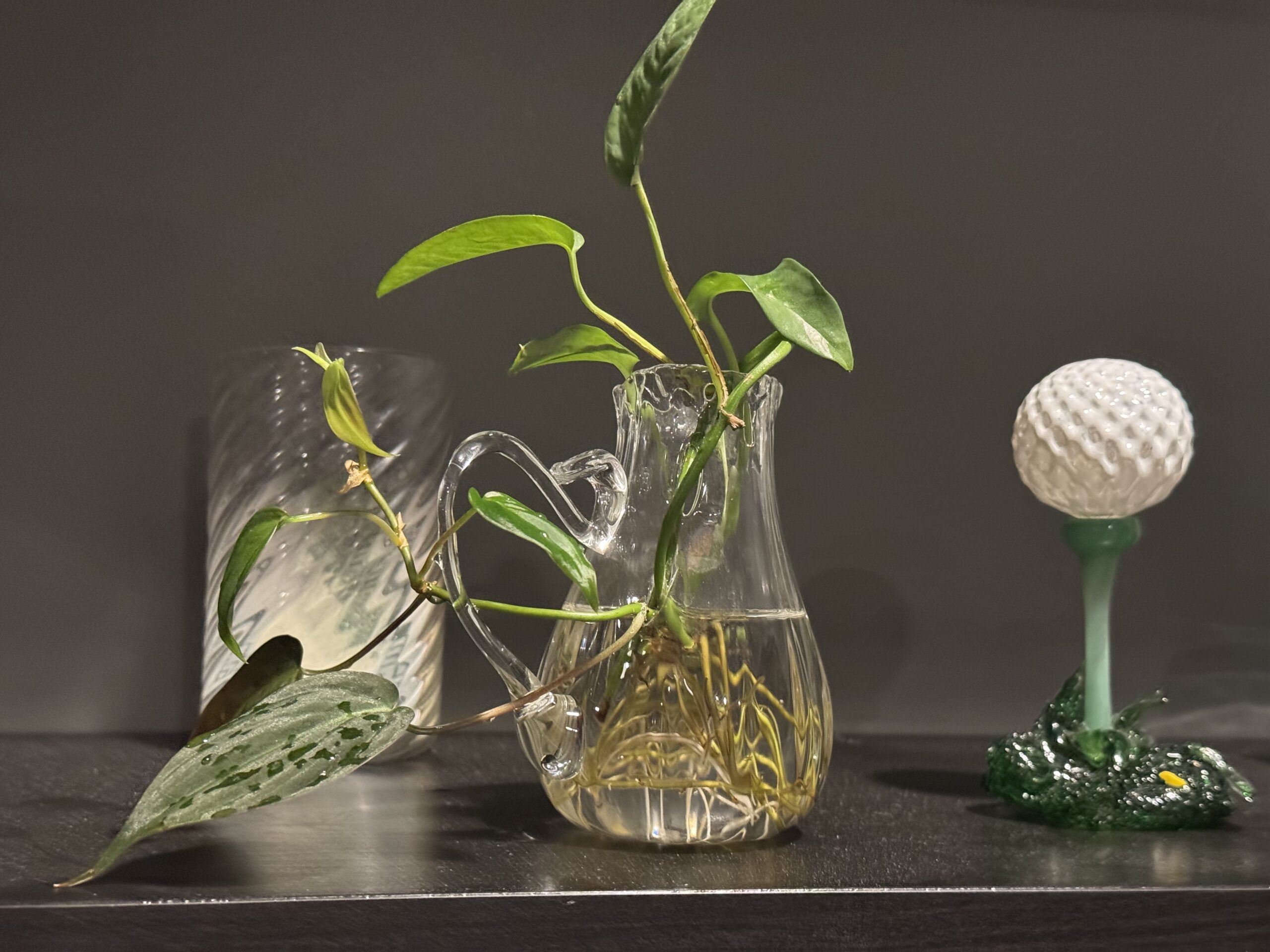 Close up of handblown glass Botanical Lace vessel with water propagated plant roots growing through delicate glass openings by Ethan Ball